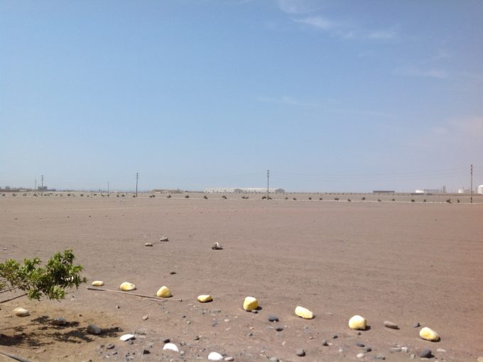 TERRENO (LOTE 1) EN PARQUE INDUSTRIAL EN PARACAS
