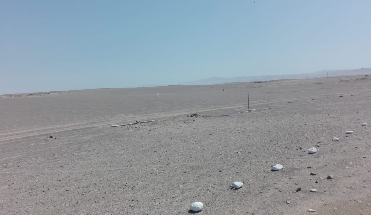 Lote 3 - Foto 3 (002)
