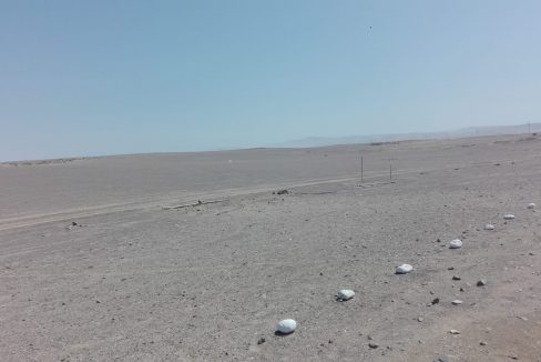 Lote 3 - Foto 3 (002)